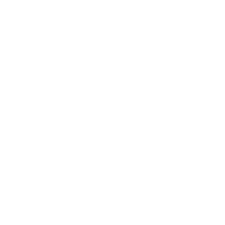 X Icon